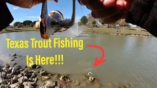 Trout Fishing Is Coming Back To Texas! Check For Fishing Near You!!!