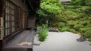 Alan Watts ~ The Zen Teacher & Student Relationship