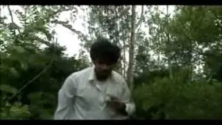 mrugam trailer.flv
