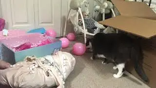 Box opening of the Alexa sculpt by Jamie Lynn Powers!