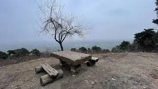 Выходной тур на велосипеде. Пфальц Deidesheim