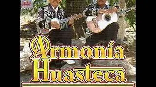 Trío Armonía Huasteca (El Fandanguito) Huapangos huastecos * Huapangos hidalguenses * Huapangos 2019