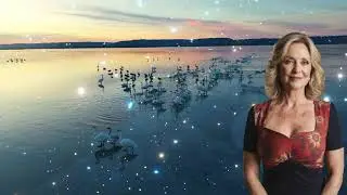 С зятем тряхнула стариной…