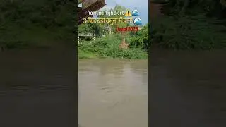 yamuna alert ⚠️🌊 #2025 #agra #alert #yamuna #news