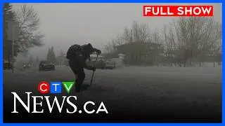 Calgary digging out from latest storm | CTV News Calgary at 11:30 for Feb. 17, 2026