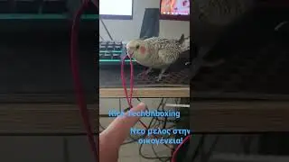Rico Techunboxing #2