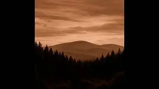 Brown Noise Over Brown Plains Forest   Deep Earthy Sound for Sleep & Focus