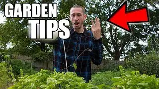The 3 Most IMPORTANT Garden Tips You NEED TO GROW
