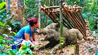 A BATTLE OF WITS LASTING 30 DAYS: CAN THE WILD BOAR OVERCOME THE YOUNG GIRL'S SURVIVAL SKILLS?