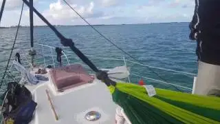 Sea BaseTroop 151 Coral Reef Boat Tour.