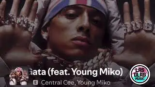 Central Cee - Gata (Instrumental)