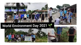 World Environment Day 2021 ll special vlog ll 🌱🌿🌳
