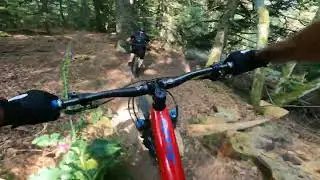 Sortie Vtt Enduro (Le Pilat)