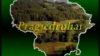 TV laida &bdquo;Pragiedruliai&ldquo;, 1996 m. Smulkusis verslas (automobilių prekeiviai)