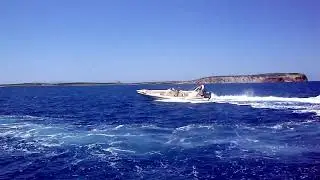 Ribs Winner 33 & Predator 7m
