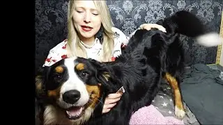 Alles auf neu EIN NEUER PARTNER❤️ Altes darf nun wirklich gehen Tarot Kartenlegen Lenormand