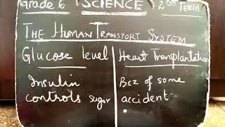 Grade 6 SCIENCE, 2nd Term Chp The Human Transport System (Insulin & Heart Transplant)