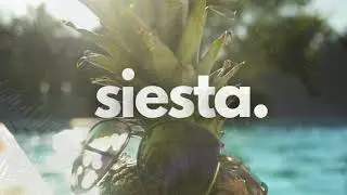 Siesta - Septemvri Band #summerbeats #summermusic #summertime #siesta #electronicmusic  #funk #music