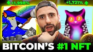 Why is Taproot Wizards the NEW #1 Bitcoin NFT Collection? Taproot Wizards Explained ft. Dan Held