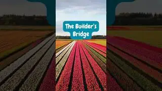 The Builder&rsquo;s Bridge #challenge #motivation #lifequotes  #spider #ponderlife #facts  #transformation