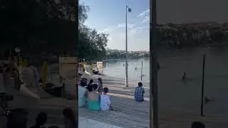 Turkiye ￼datca checking out the local people ￼too 👀