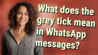 What does the grey tick mean in WhatsApp messages?