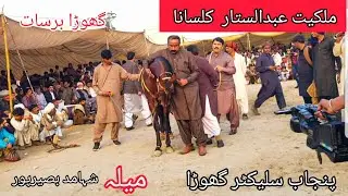 horse dance ghora barsaat with Dhol |malkiyyat Muhammad Starr kalsana | mela shahmad basirpur