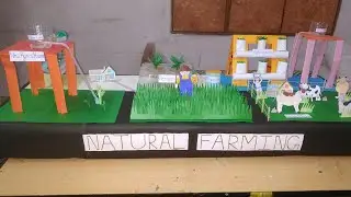Natural Farming Model for School | Project | Science model #science #sciencemodel #project #farming