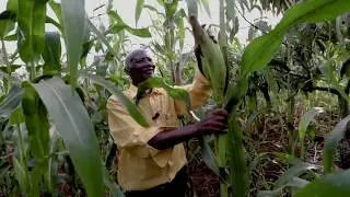 Will RESTORE for Water │ The Caterpillar Foundation