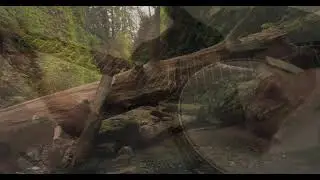 Breathe by Damon Kardon- Music Video- Original Instrumental Song