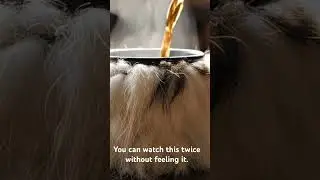 The Furry Coffee Mug ☕️🐻 (Would you drink this?).     #shorts #viral #asmr