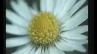 Transambient Part 1