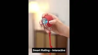 Interactive Striped Self Rolling Ball Smart Cat Toy Ball with Tail Rope Teaser China Manufacturer