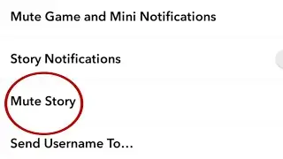 How To Mute And Unmute Snapchat Friend Story