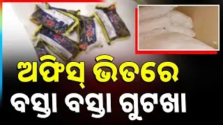 ବିଲ୍ଡର୍ସ ଅଫିସ୍ ରେ ଗୁଟଖା ଗୋଦମ୍ | Argus News | Gutkha Godown Found Inside Builder’s Office