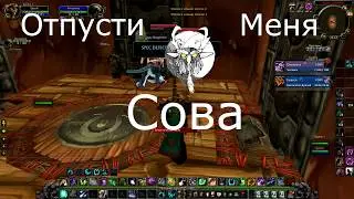 Balance Druid PvP 3.3.5 Отпусти Меня Сова 7