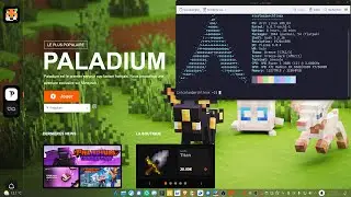 tuto comment jouer a paladium sur linux (2024)