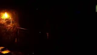 #Ploiești