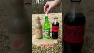 Diet Coke Vs Pepsi Vs Mentos (Experiment) Reaction