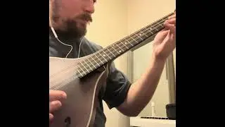 Mandolin, Mandola, & Octave Mandolin Trio 6