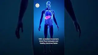 Back Pain Warning Signs  | Slip Disc vs Normal Back Pain #Shorts