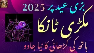 Spider Embroidery Design || Makri Tanka || Hand Embroidery Design || Thread Work Design 2025