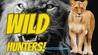 Wild Hunters Adventure: Jungle Predators Unleashed