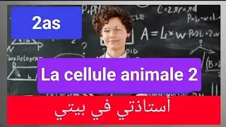 @Français 2as: La cellule animale 2 ( Analyse du texte)