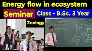 Energy flow in an  ecosystem bsc 3 year @Happybiologyclass