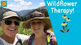 Wildflower Therapy | EP 7 Summer in our OFF GRID SELF-SUSTAINING HOME in the mountains of Colorado
