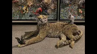 Mixed Media 'Animalia' Exhibit/Montclair Art Museum/New Jersey