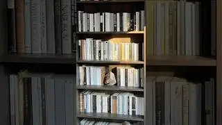☕️