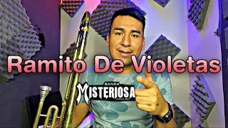 Ramito De Violetas - Banda Misteriosa - Tutorial De Trombón ( 3 Cuerdas )