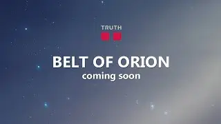 | TruthBelts | Vegan Vegetarian Belts & Fashion